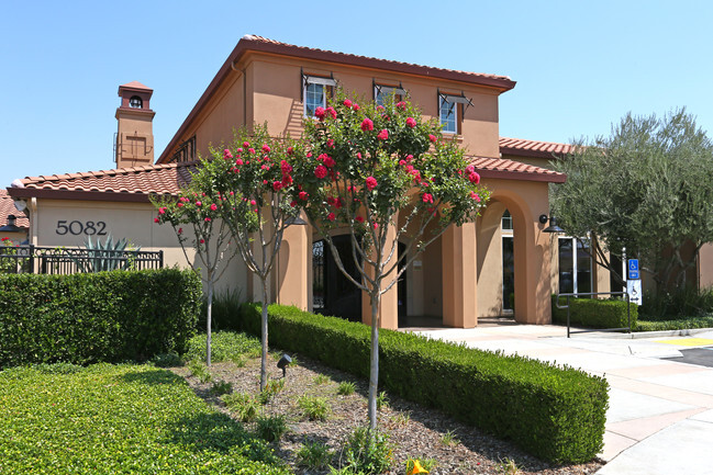 Building Photo - Palmilla Apartment Homes