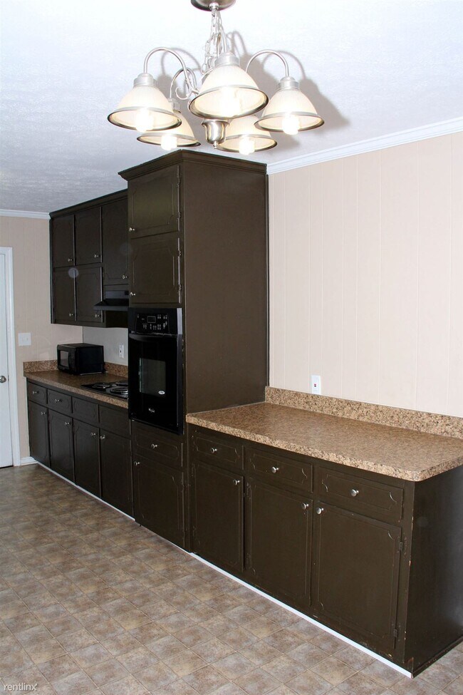 Building Photo - 4 br, 2 bath House - 2428 Hwy 155 N