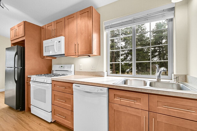 Building Photo - 50 Spruce Dr