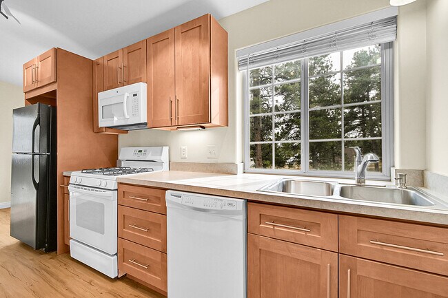 Foto del edificio - 50 Spruce Dr