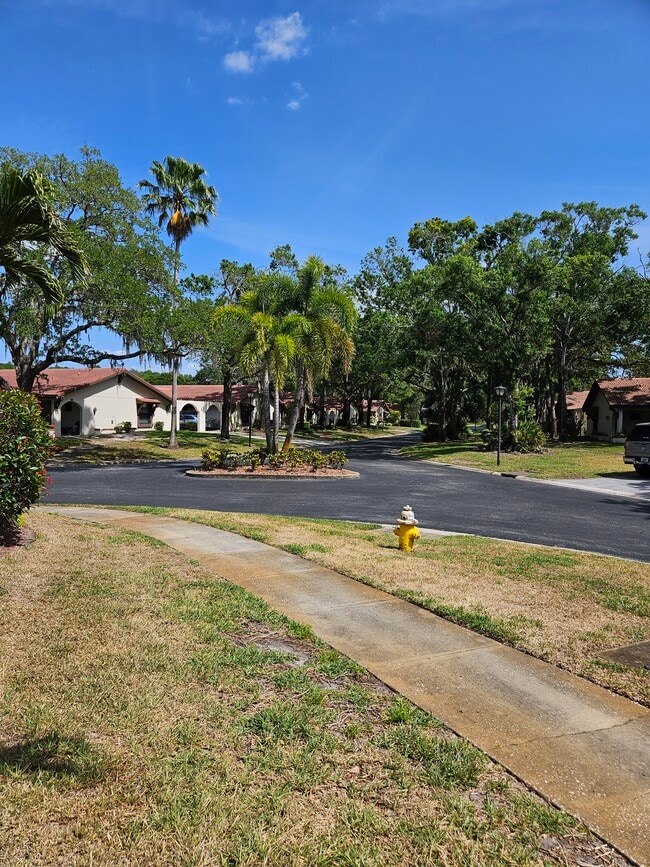Building Photo - 3505 Tarpon Woods Blvd