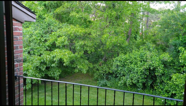 View from balcony - 87 Newbrook Ln