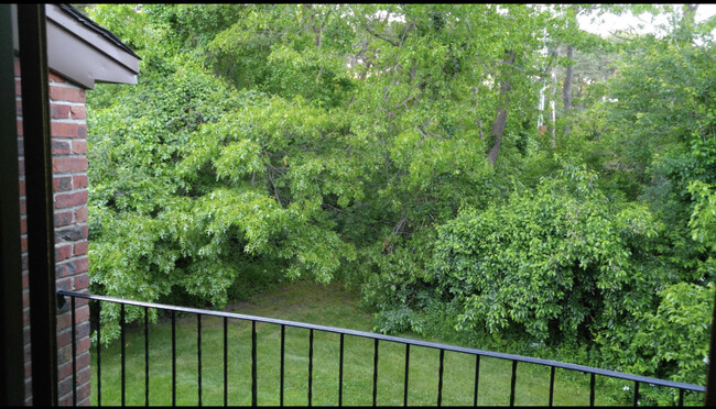 View from balcony - 87 Newbrook Ln