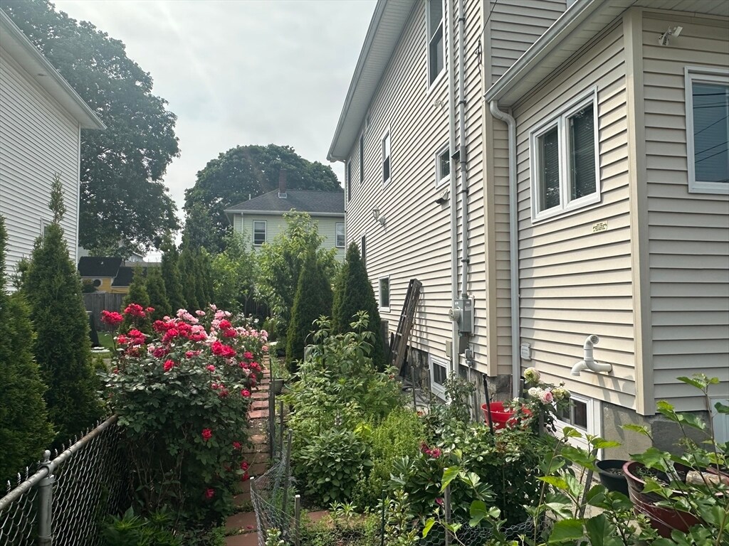 Primary Photo - 62 Antwerp St
