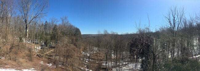 Building Photo - 37 Orchard Dr