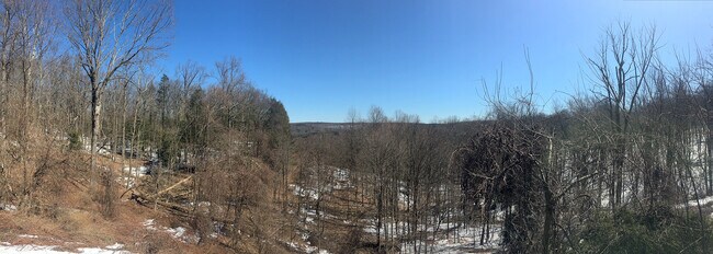 Foto del edificio - 37 Orchard Dr