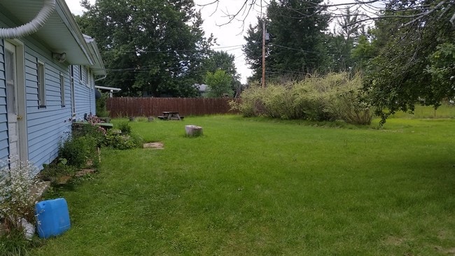 Backyard - 31 Coachwood Ln