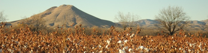 Average Rent In Las Cruces Nm