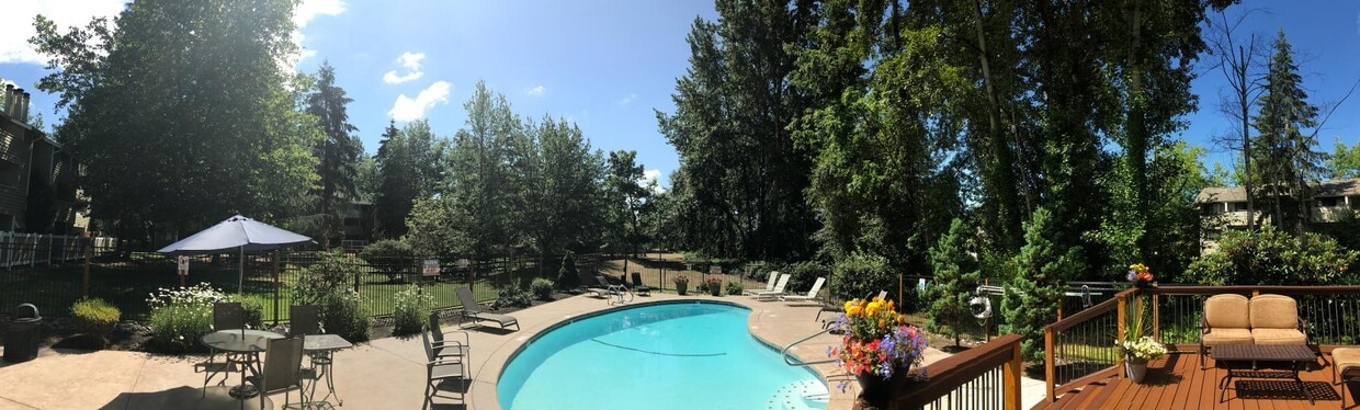 Pinewood Village Apartments Bellevue Wa Apartments Com