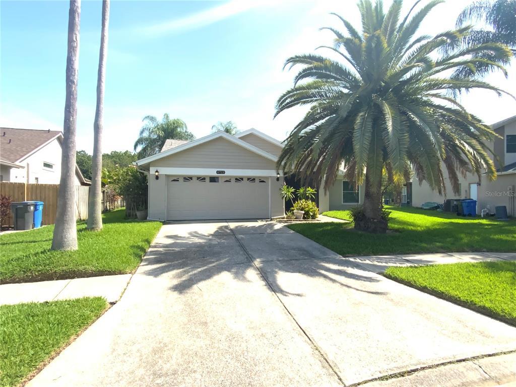 8723 Imperial Ct, Tampa, FL 33635 House Rental in Tampa, FL