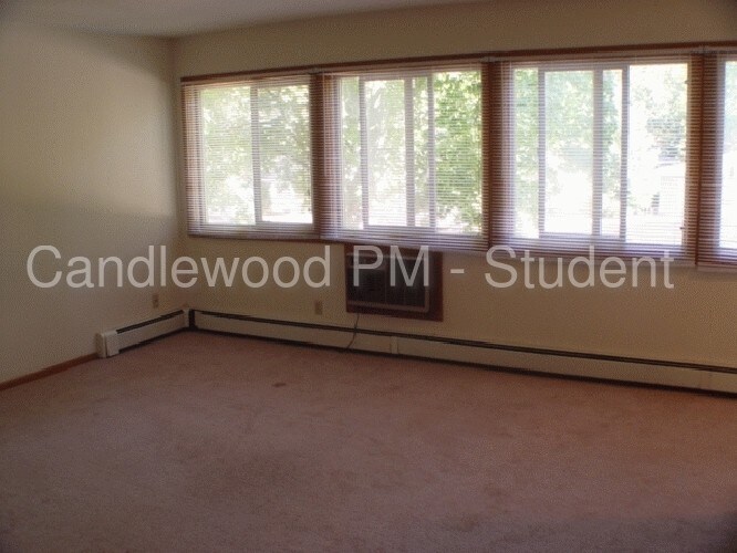 Foto del edificio - Studio Apartment Available September 1, 2019!