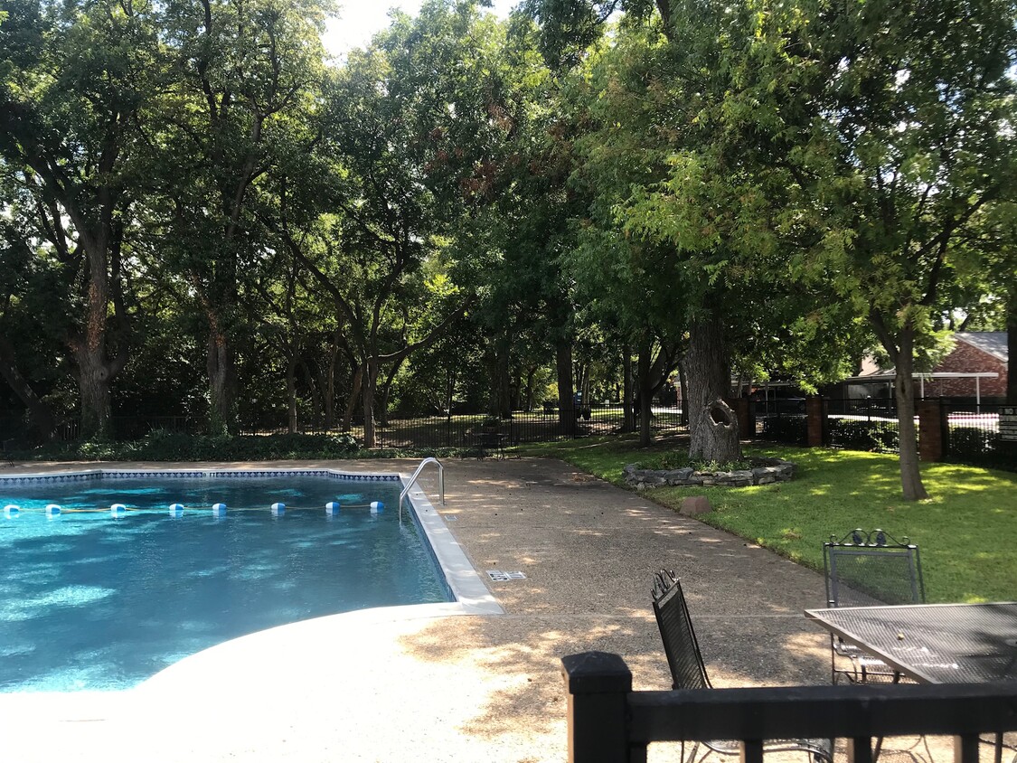 Large swimming pool - 1279 Roaring Springs Rd