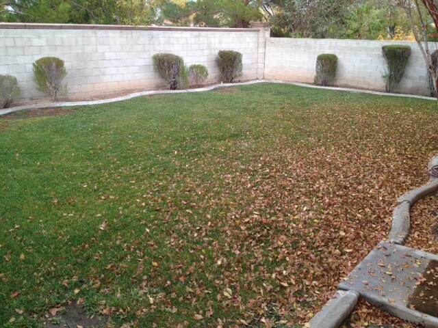 Foto del edificio - WONDERFUL 2 STORY HOME IN THE HEART OF GREEN VALLEY 3 BED 2.5 BATH BEAUTIFULLY LANDSCAPED!