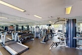 Located at 17230 NW 64th Ave in Hialeah, FL, this fitness center offers a well-appointed exercise room designed to support a comprehensive workout experience. The space features durable rubber flooring throughout, a textured ceiling with recessed fluorescent lighting, and expansive floor-to-ceiling glass walls and sliding doors that flood the interior with natural light and provide open views of the surrounding tropical landscape, including palm trees and an outdoor amenity area with seating and a pool.

The exercise room is equipped with a wide variety of fitness equipment, including multiple treadmills, elliptical machines, a stationary recumbent bike, a cable/pulley multi-station weight machine, and a full dumbbell rack with weights of varying sizes. Additional strength and resistance equipment is also available throughout the space. Wall-to-wall mirrors line a significant portion of the room, visually expanding the space and allowing users to monitor their form during workouts. Mounted televisions provide entertainment during cardio sessions.

Entry to the fitness center is through a corridor featuring hardwood flooring and glass-paneled walls, with a community bulletin board and signage near the entrance. The overall ambiance is bright, open, and functional, with the lush South Florida scenery serving as a motivating backdrop.