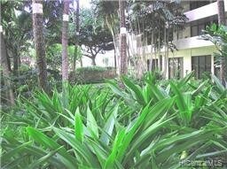Building Photo - 425 Ena Rd