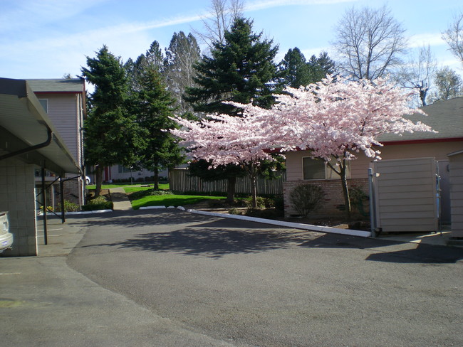 Building Photo - Village Manor Apartments