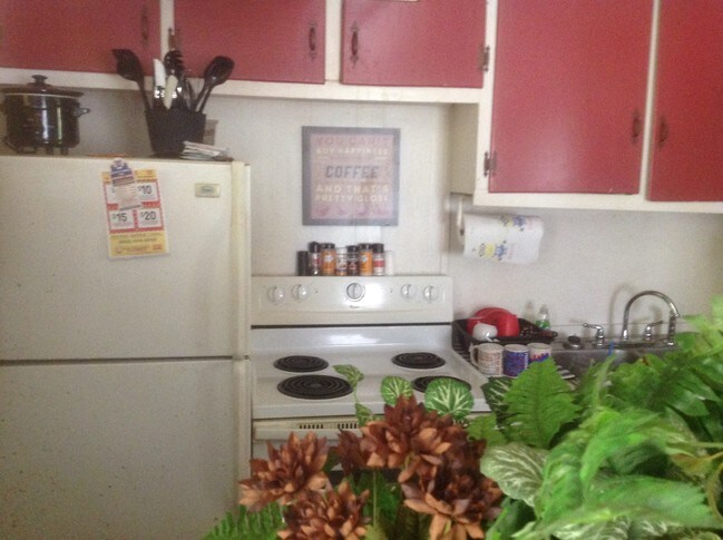 Foto del interior - 1007 Yaupon Dr