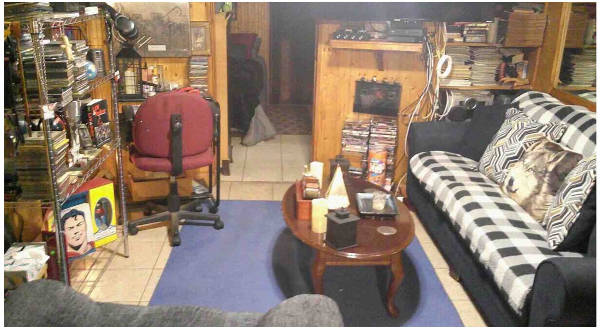 Living room - 336 Underhill Ave