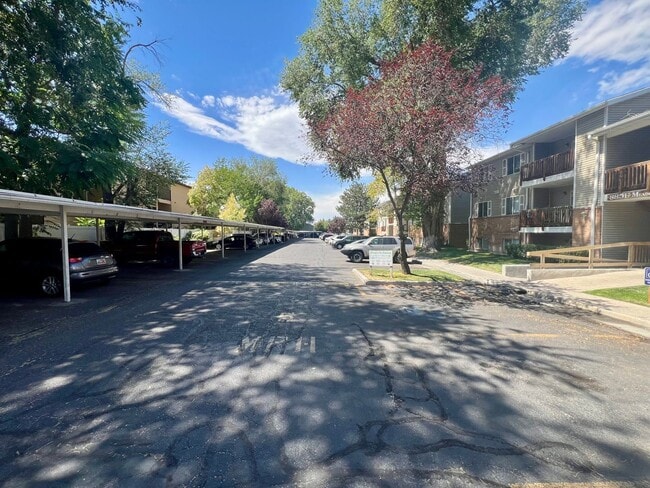 Building Photo - Cozy 3B/1 Bath Apartment in Millcreek
