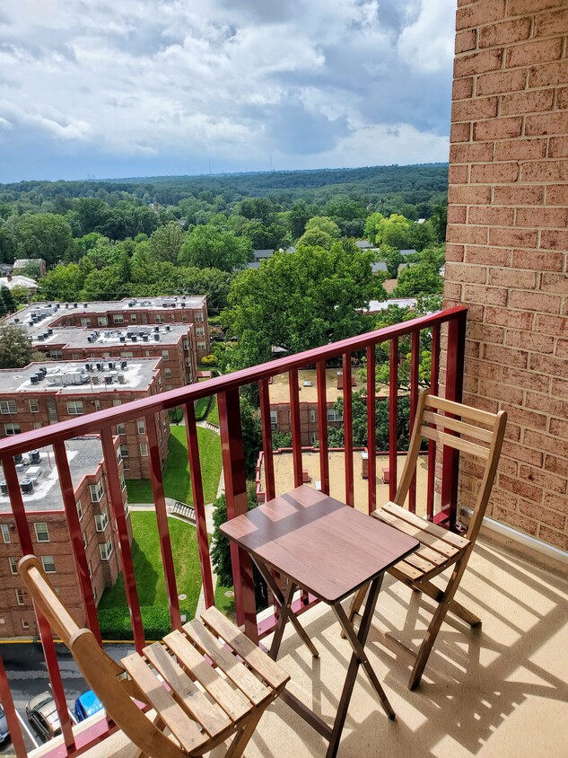Balcony with panoramic views of Rock Creek Park and DC! - 1220 Blair Mill Rd