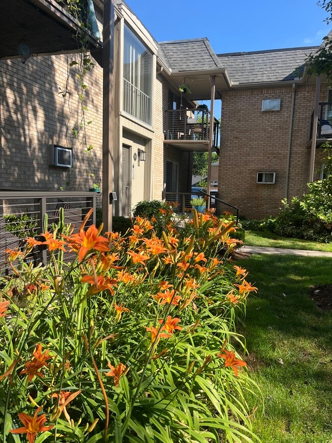 Building Photo - 150 Bird Ave