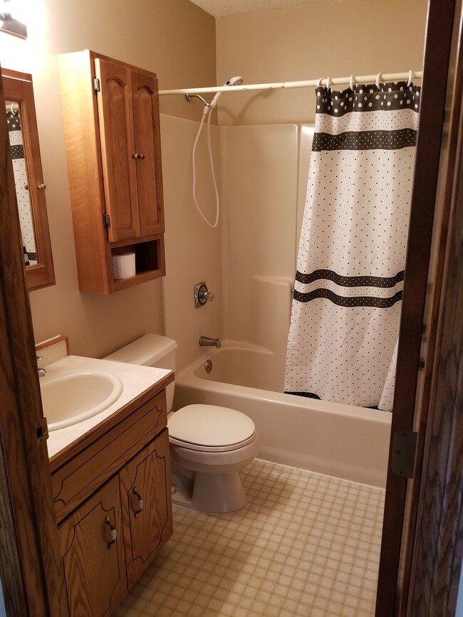 Full bath - 923 Douglas St