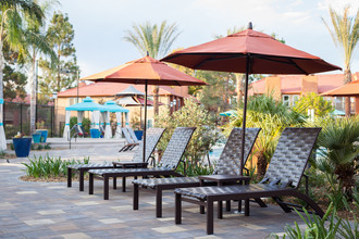 Corona Pointe Resort photo'