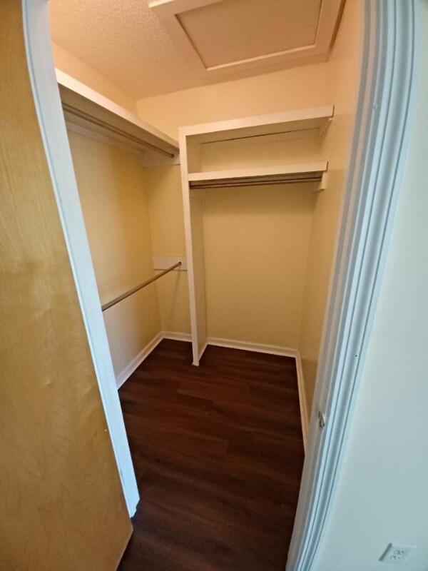 Building Photo - 126 Keyport Ct