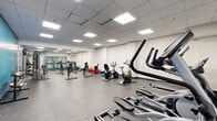 Located at 169 Lees Ave in Ottawa, Ontario, this fitness center offers a single-floor exercise room designed to support a comprehensive workout experience. The space features a drop-panel ceiling with recessed flat-panel lighting that evenly illuminates the entire room, creating a bright and functional environment. Durable rubber flooring covers the floor throughout, providing both safety and comfort for a variety of exercises.

The cardio section is well-appointed with multiple True-brand treadmills, upright and recumbent stationary bikes, and elliptical cross-trainers, offering a wide range of cardiovascular workout options. A dedicated strength training area features a cable and pulley machine, a weight bench with a rack, and a dumbbell rack stocked with a full set of free weights. Exercise accessories such as stability balls are also available throughout the space.

A bold blue accent wall adds a vibrant visual element to the room, complementing the otherwise neutral white walls. Full-length mirrors along one wall enhance the sense of openness and allow users to monitor their form during workouts. Near the entrance, seating benches and wall-mounted hygiene dispensers provide practical amenities. Blue-framed glass partitions and doors contribute to the clean, modern aesthetic of the facility.