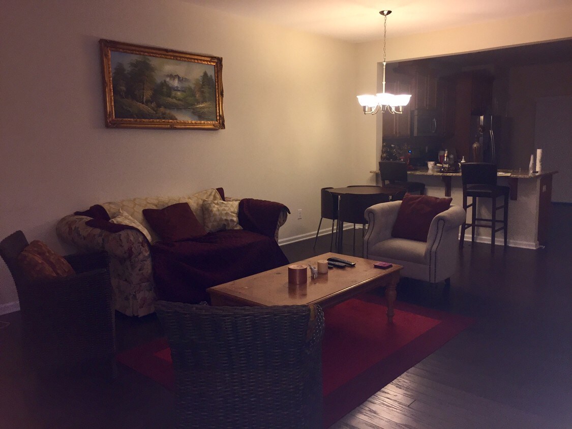 Living Room - 218 Constitution Dr