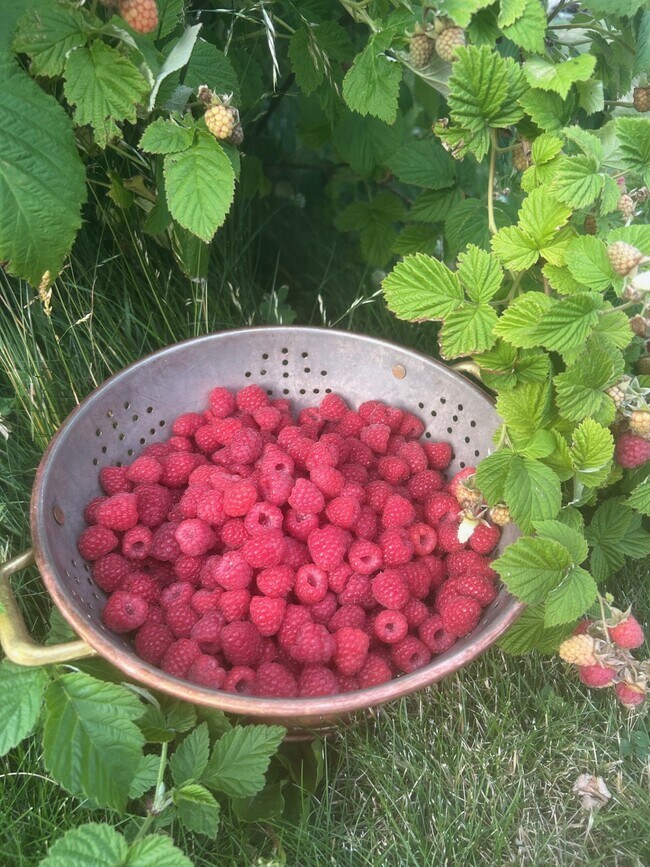 Foto del edificio - Madison