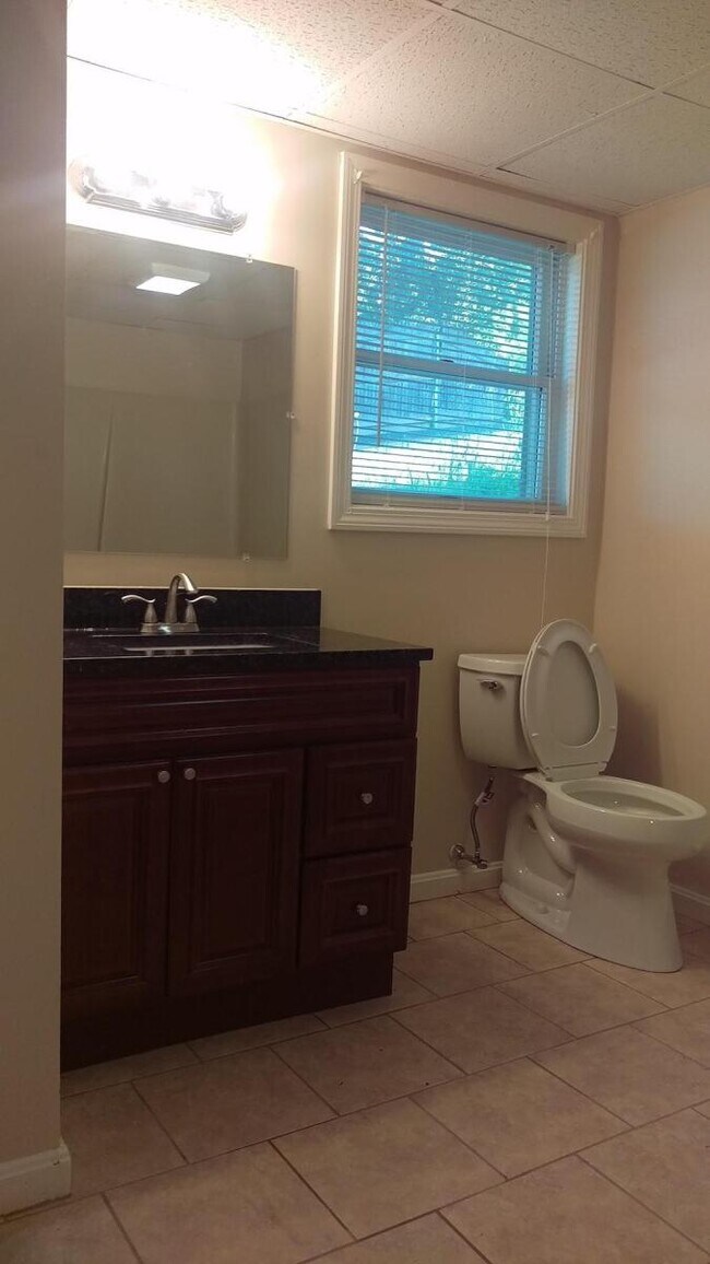 41 Denmark St, Worcester, MA 01605 Apartments in Worcester, MA