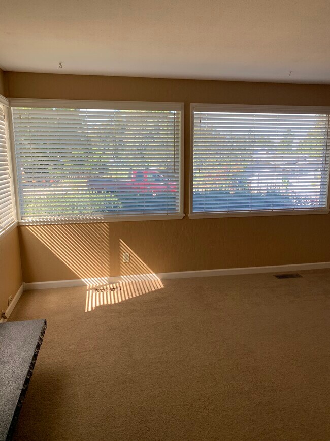 Lare windows in living room - 615 Galloway St