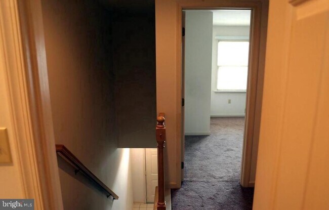 Building Photo - 4134 Kittatinny Dr