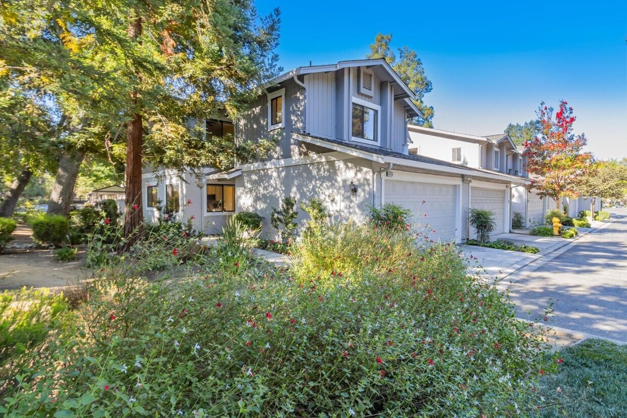 Beautiful serene lush green surroundings - 4926 Red Creek Dr