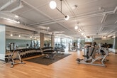 This expansive fitness center is thoughtfully designed to support a full range of workout routines across multiple dedicated zones. The space features warm hardwood flooring throughout, exposed white-painted ceiling infrastructure with pendant globe lighting, and walls accented with a calming two-tone teal and white color scheme that gives the facility a clean, modern character.

The main workout floor is generously proportioned, housing a comprehensive free weights area with a full rack of dumbbells, adjustable benches, and floor-to-ceiling mirrors that enhance the sense of openness. A wide selection of strength and resistance machines is arranged throughout, providing options for both targeted and full-body training. Large windows along the perimeter flood the space with natural light and offer views of the surrounding exterior.

A dedicated cardio zone lines one side of the facility, equipped with TRUE-branded treadmills, elliptical trainers, and stationary bikes positioned in front of expansive floor-to-ceiling windows. A separate cycling studio features indoor cycling bikes and step platforms set against a striking full-wall mountain landscape mural, creating an immersive and energizing environment. Additional amenities include a water station and clearly marked entry points. The overall atmosphere is bright, open, and purpose-built for serious fitness.