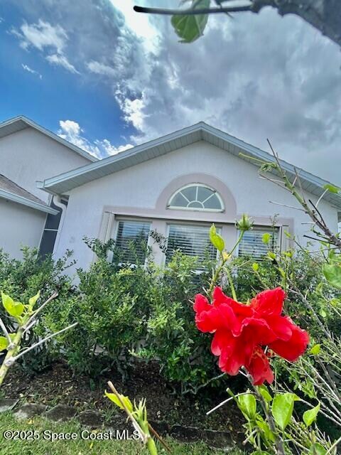 Building Photo - 3865 La Flor Dr