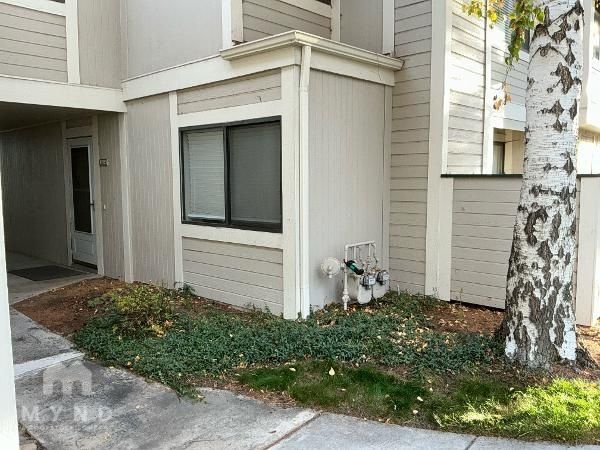 Foto principal - 2415 Sycamore Glen Dr