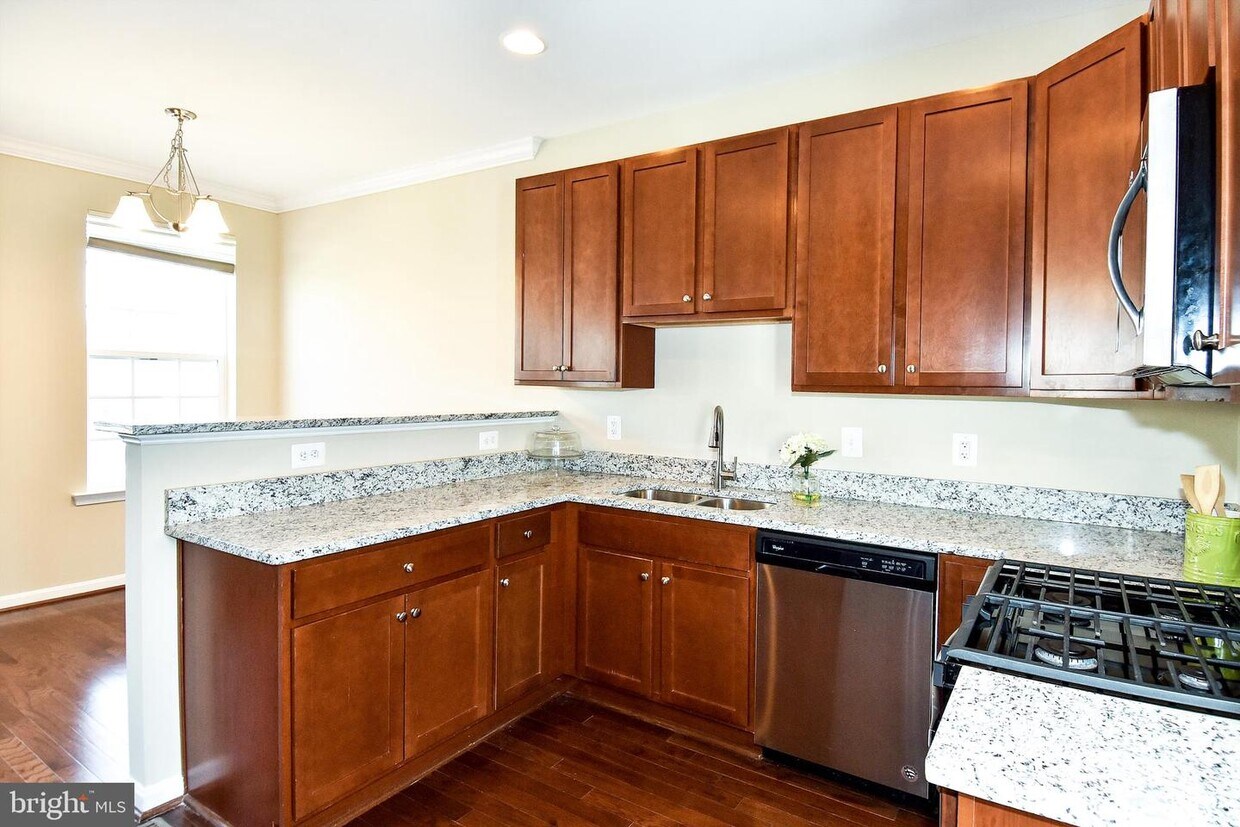 4411 Cherry Way, Baltimore, MD 21229 Townhome Rentals in Baltimore MD