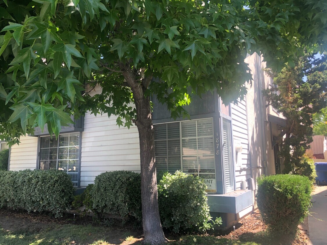 Primary Photo - Coming Soon! - Paradise Hills 3BR / 2 BA T...