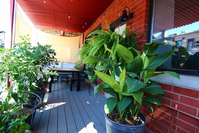 Foto del edificio - 4648 N Winthrop Ave