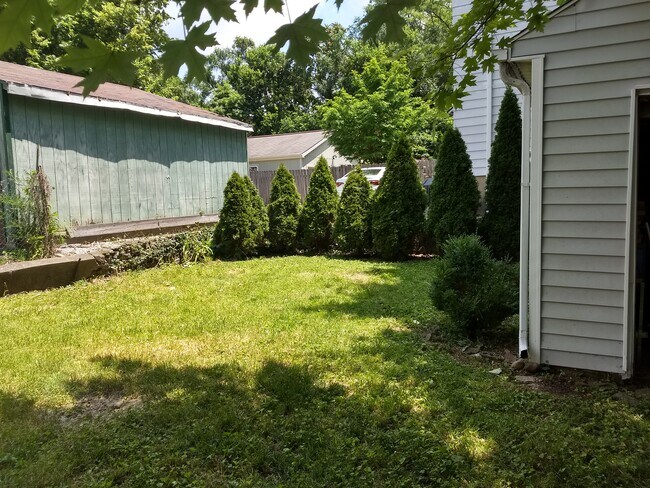 BACK YARD - 2306 Moerlein Ave