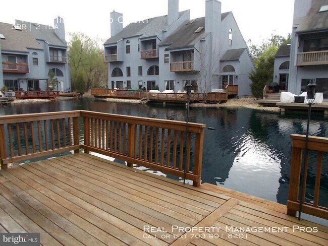 Building Photo - Serene Waterfront Living!