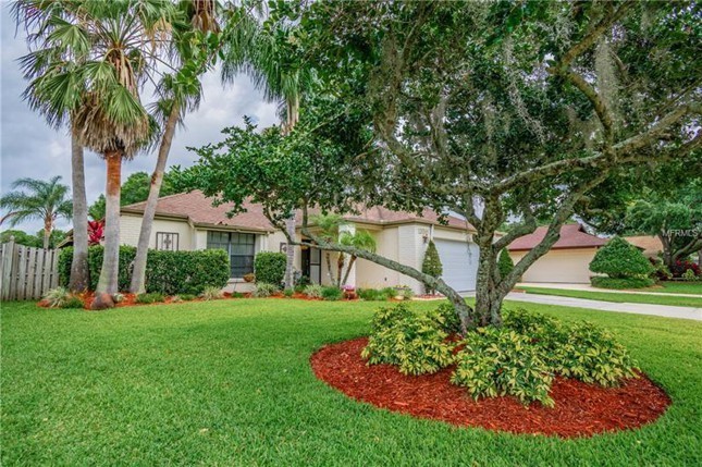 Foto del edificio - 13511 Clubside Dr, Tampa, FL 33624