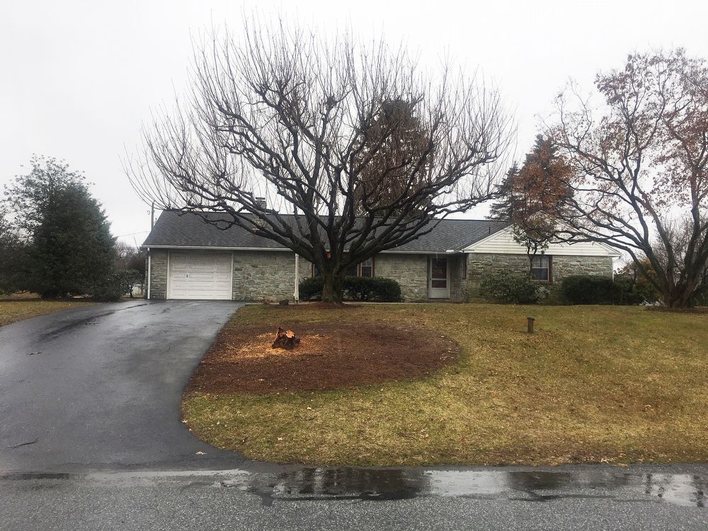 Primary Photo - Well maintained ranch home.