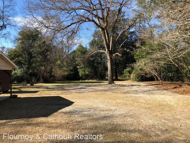 Foto del edificio - 3 br, 2 bath House - 1435 Forest Drive