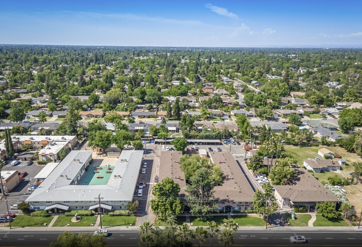 Building Photo - Magnolia Suites Apartments