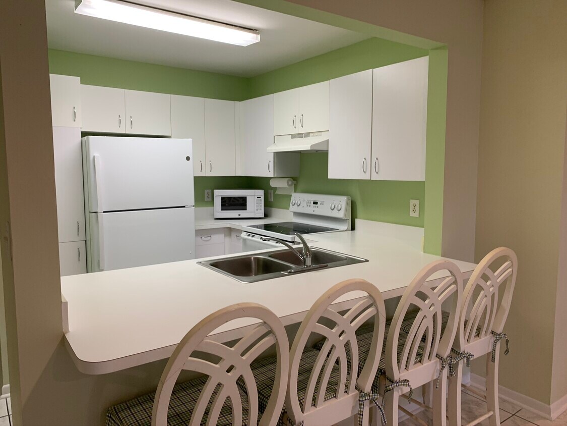 430 SE 7th St, Dania Beach, FL 33004 Condo for Rent in Dania Beach