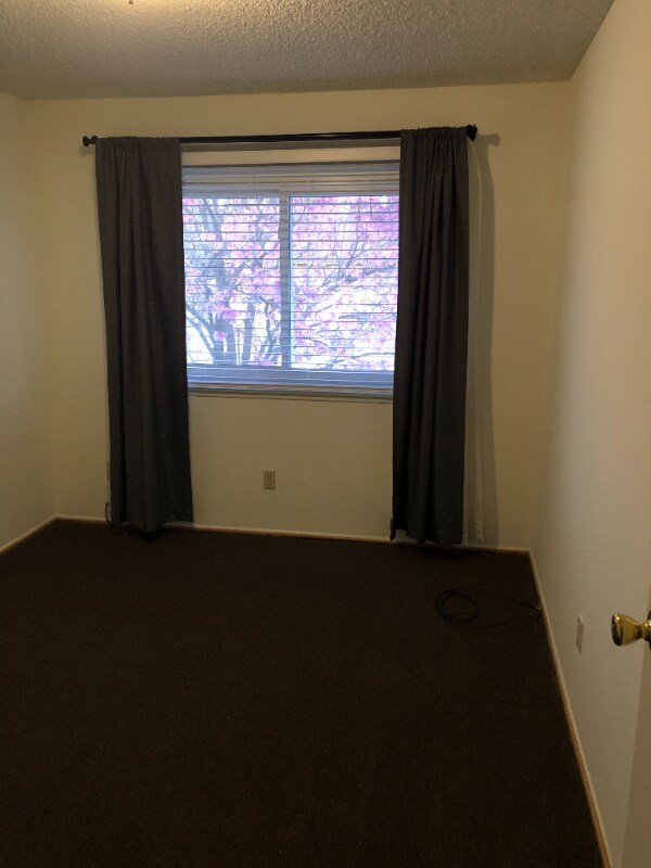 Building Photo - 1006 W Calle Del Sol