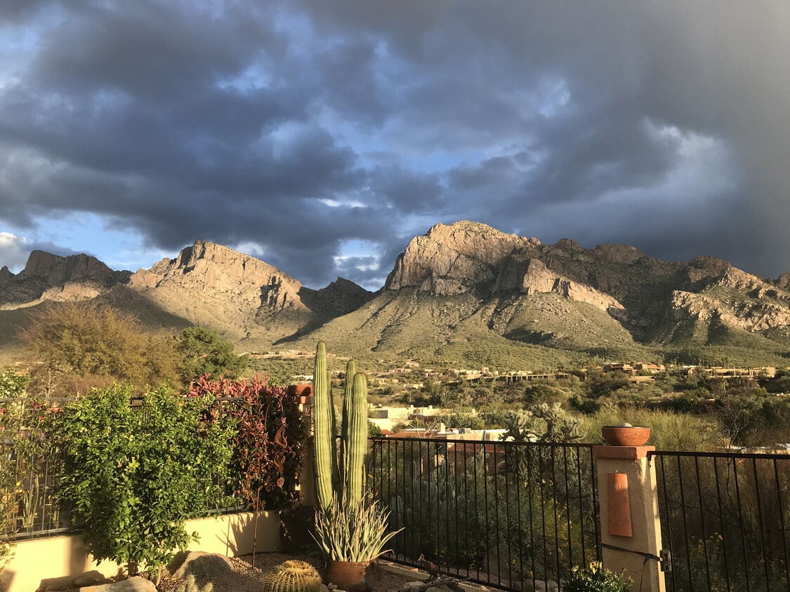 Photo - 784 Cam Diestro (Oro Valley, AZ)